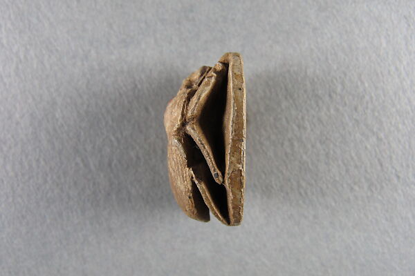 Scarab, Steatite, glazed