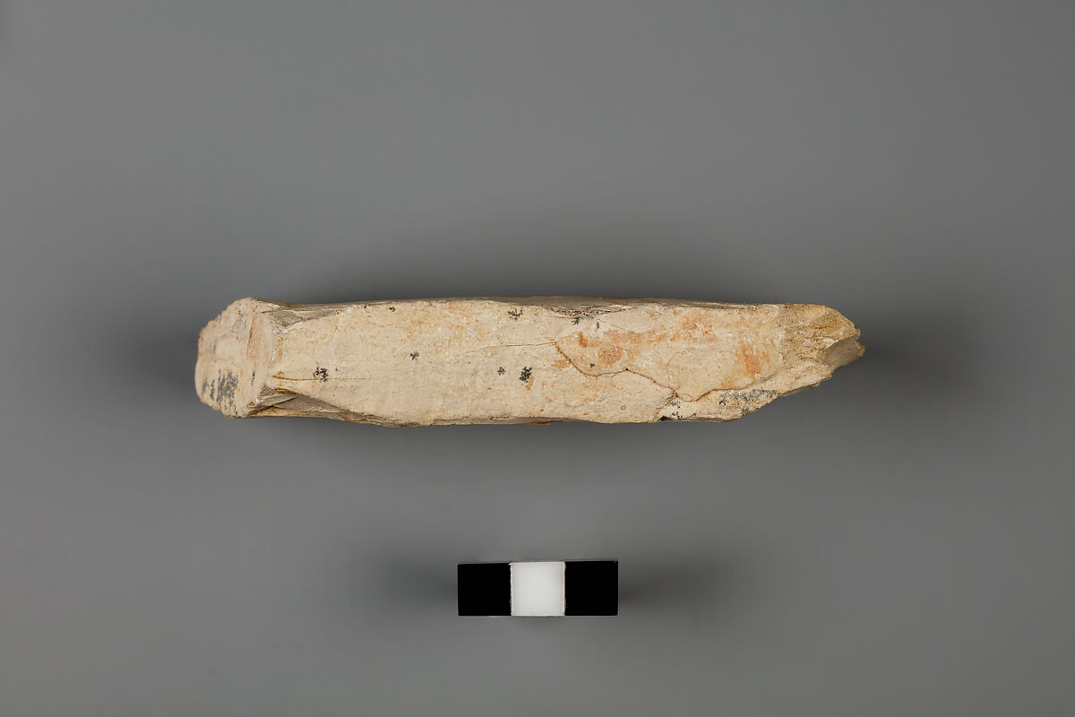 Ostracon, Limestone, paint