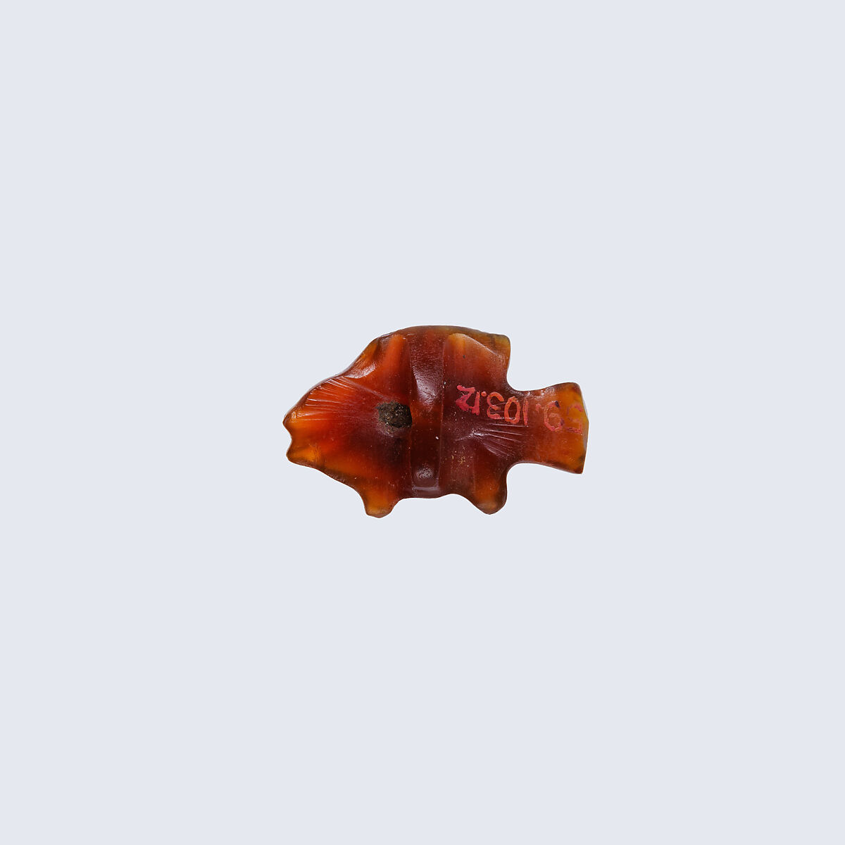 Fish (Bolti) Amulet, Carnelian