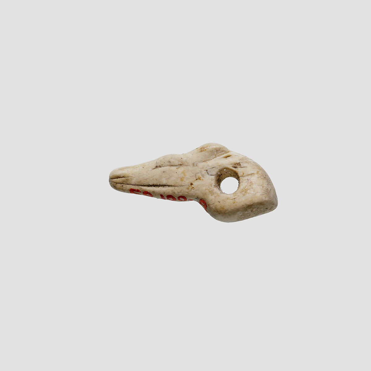 Jackal head amulet, Ivory or bone 