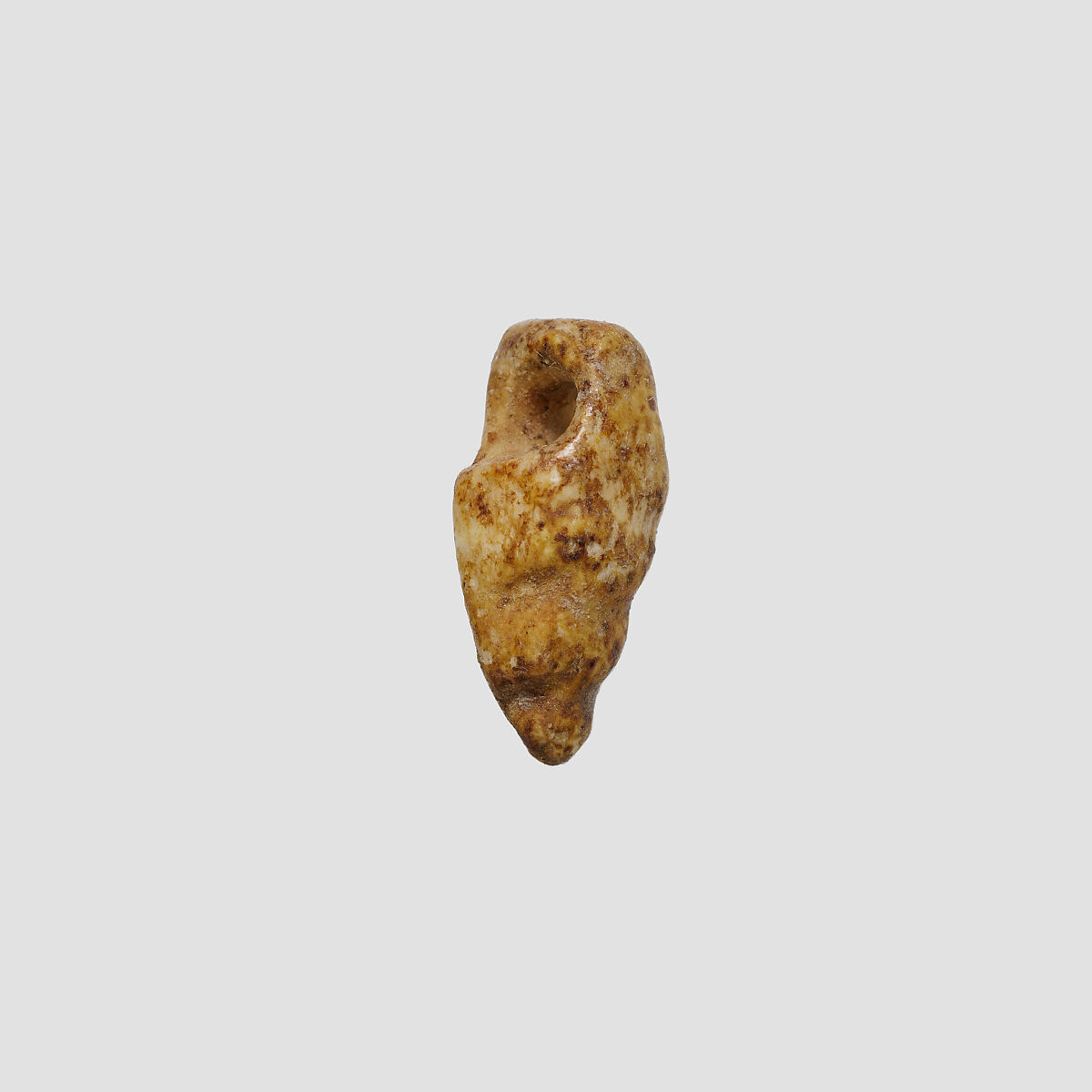 Shell (?) amulet, Ivory or bone