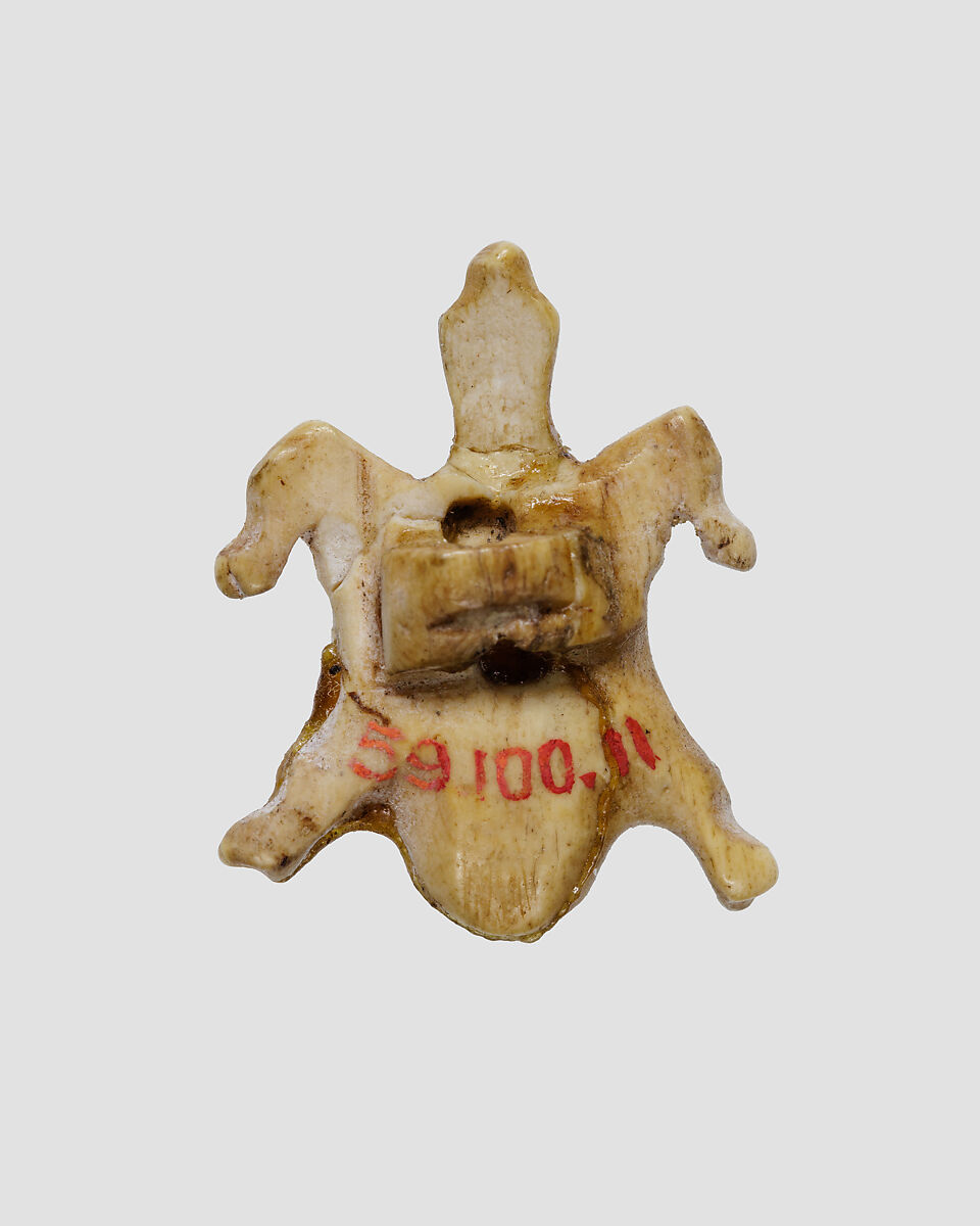Turtle amulet, Ivory or bone