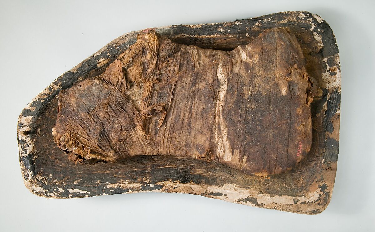 Preserved Shoulder of Beef and Half of a Food Box, Animal remains, linen 
