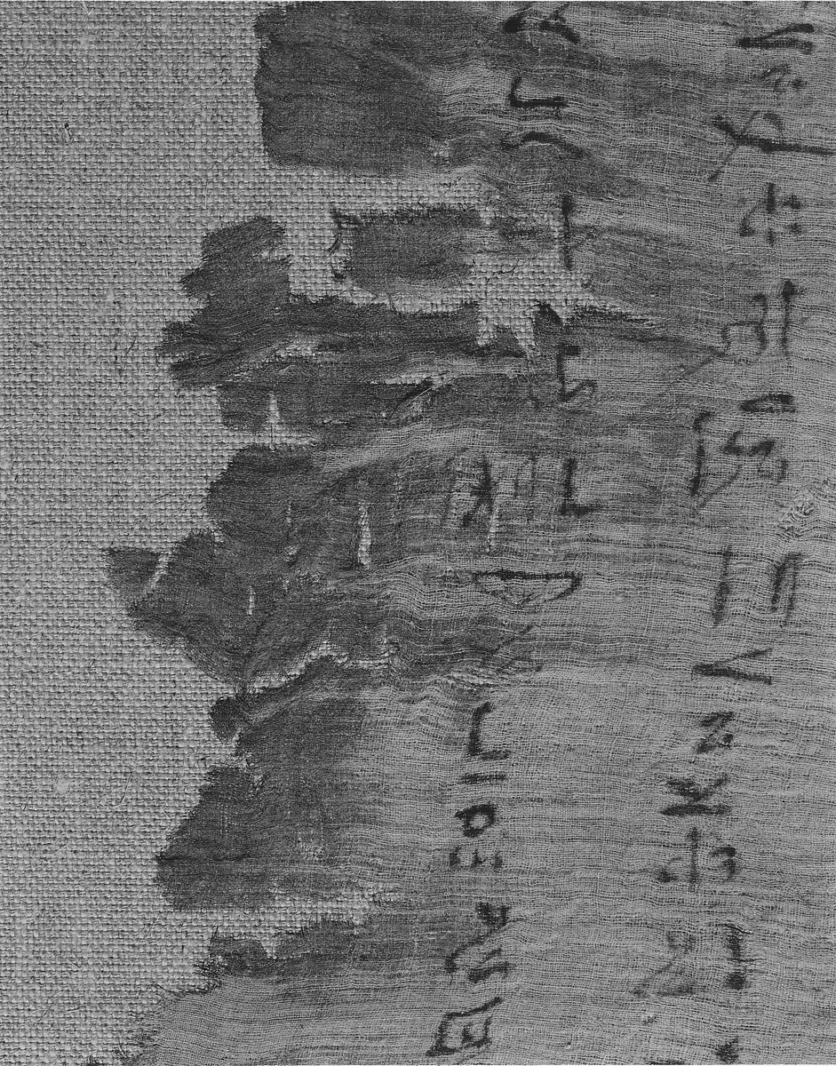 Shroud of Ahmose Penhet, Son of Ahhotep, Linen