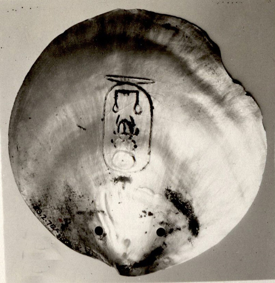 Shell Inscribed with the Cartouche of Senwosret I, Shell