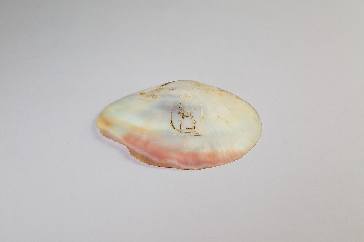 Shell Inscribed with the Cartouche of Senwosret I, Shell