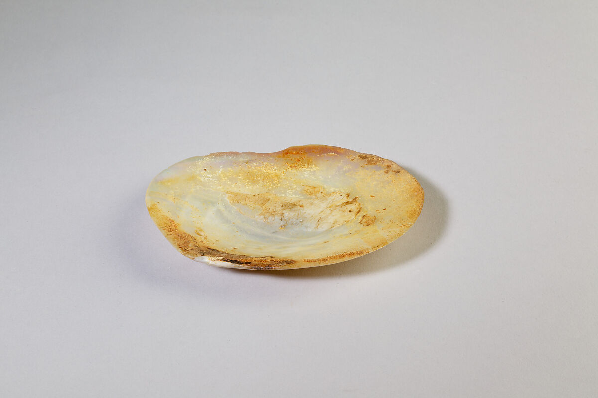 Shell Inscribed with the Cartouche of Senwosret I, Shell