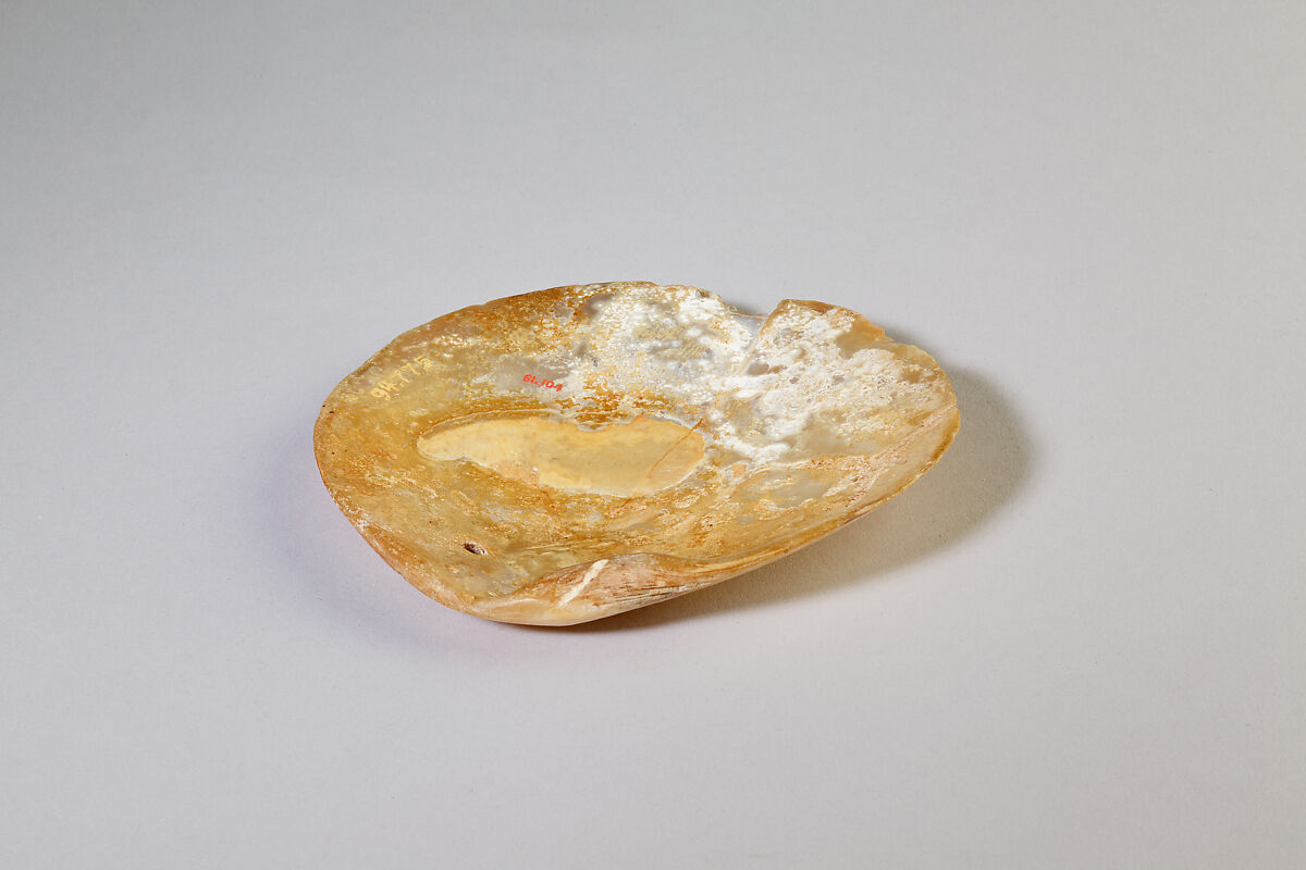 Shell Inscribed with the Cartouche of Senwosret I, Oyster Shell