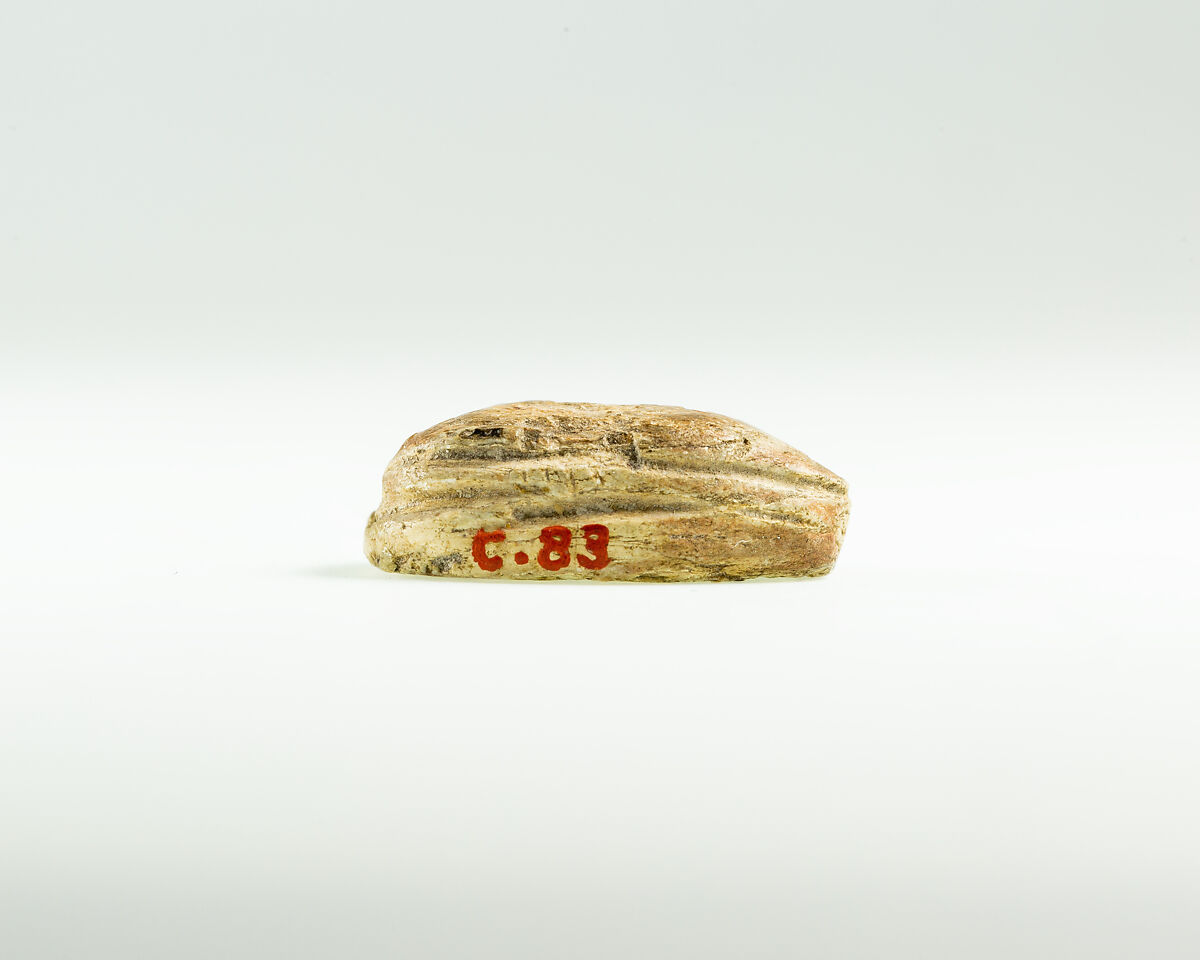 Scarab of the "Great Royal Wife" Ini, Brown steatite