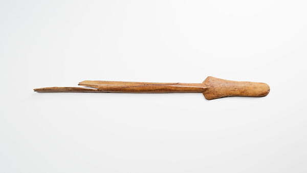 Scepter case (?)