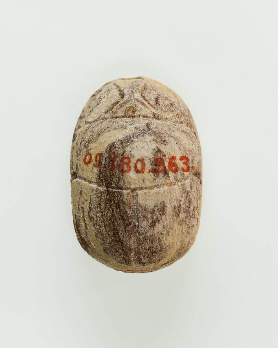 Scarab Decorated with Symbol of Unification, Steatite, traces of green glaze