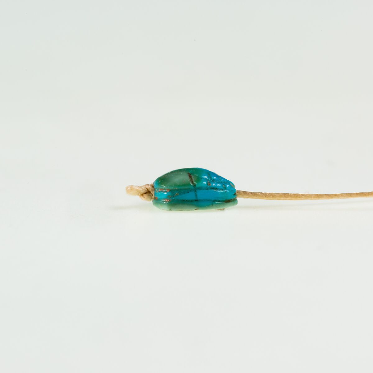 Scarab, Turquoise