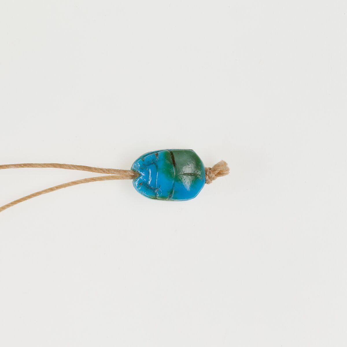 Scarab, Turquoise 