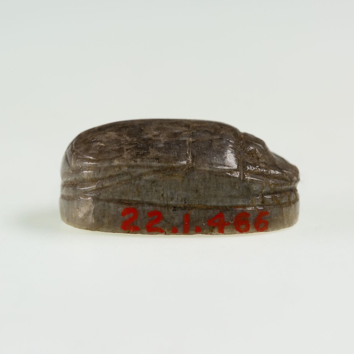 Scarab, uninscribed, Greyish-brown stone