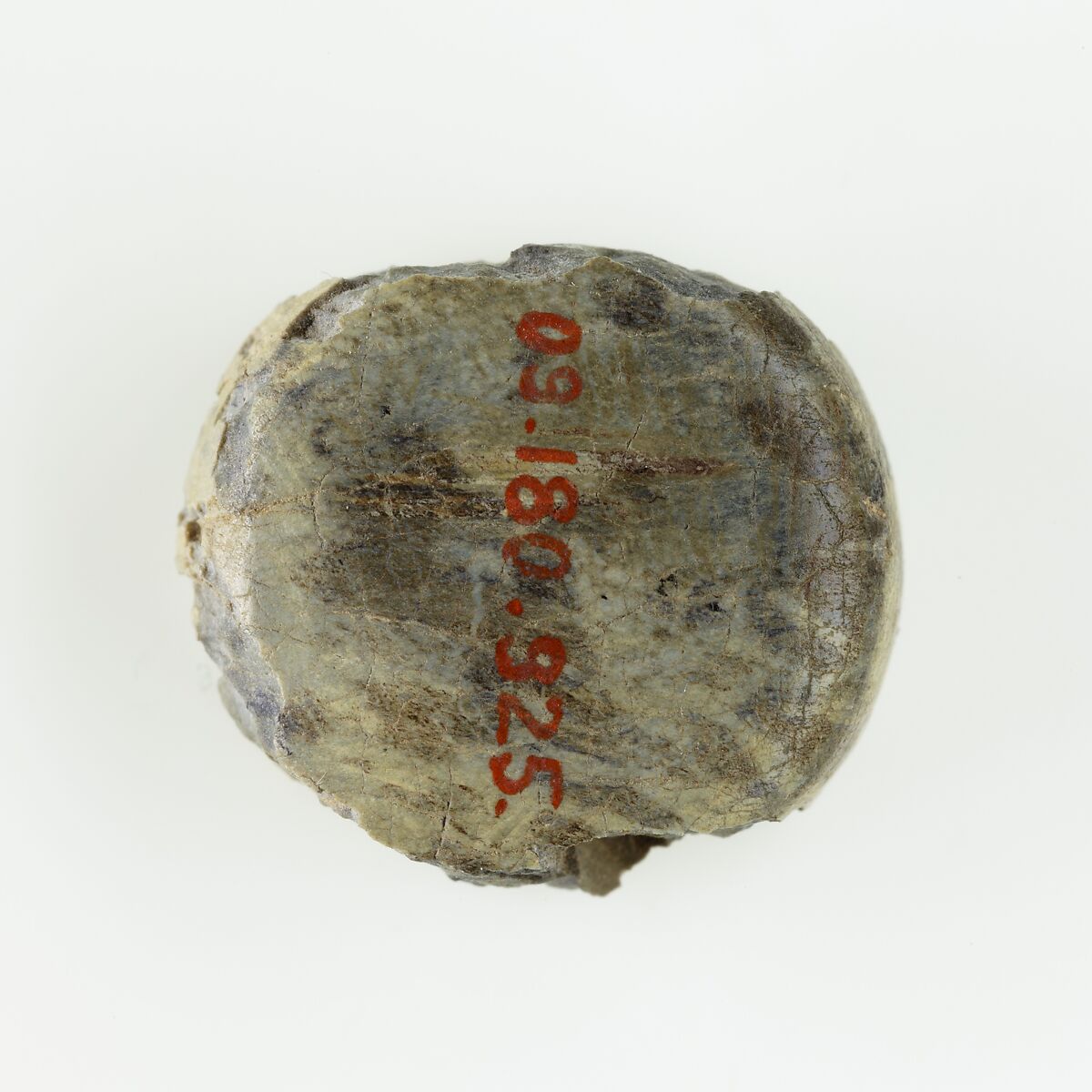 Scarab, Glazed steatite