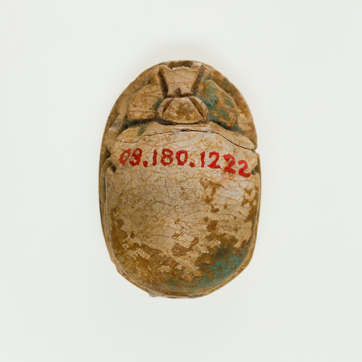 Scarab Decorated with Circles, Steatite, traces of green glaze