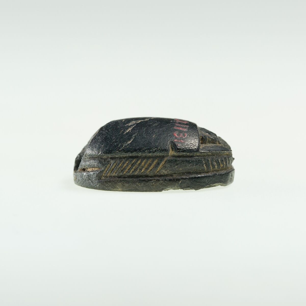 Scarab Incised with Hierolgyphs and Flower in Circle Border, Steatite