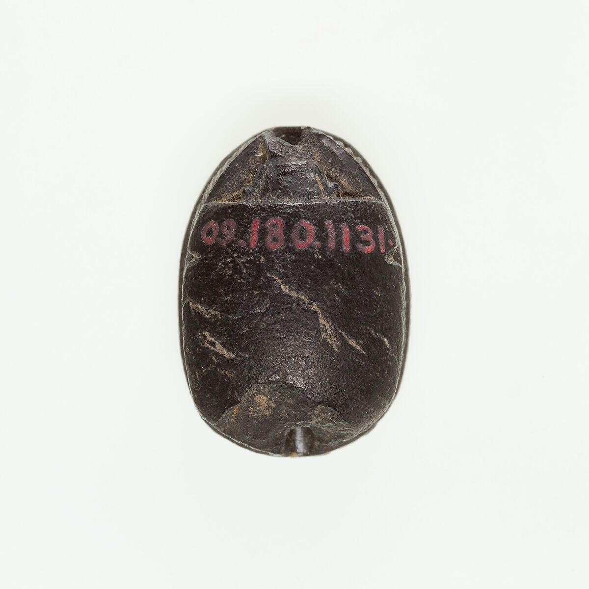 Scarab Incised with Hierolgyphs and Flower in Circle Border, Steatite