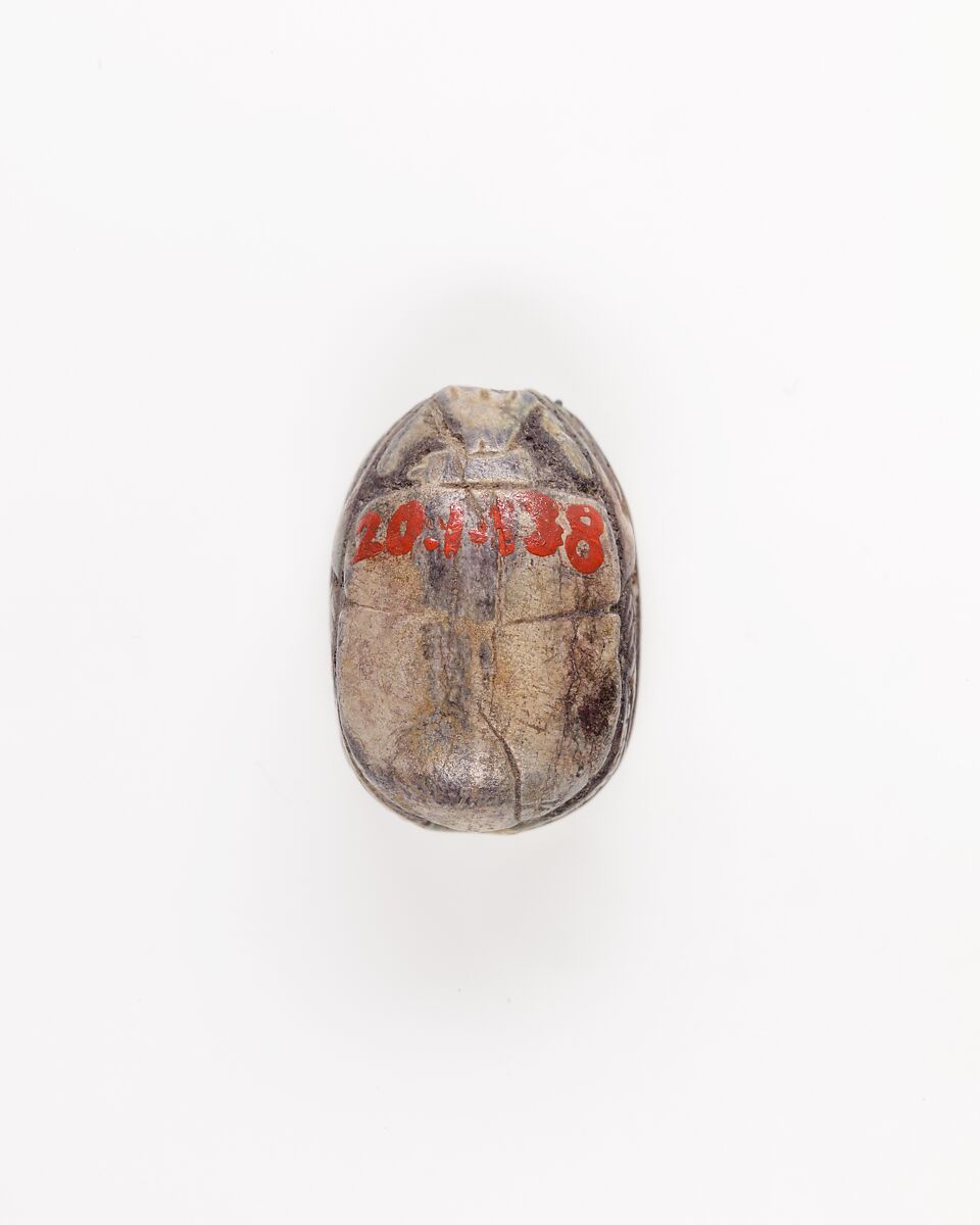 Scarab Incised with Hieroglyphs and Scroll, Steatite, traces of green glaze
