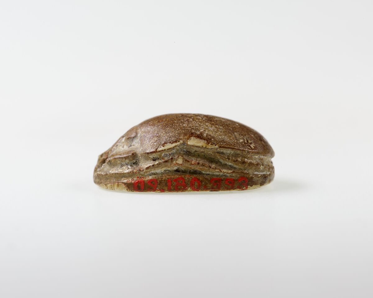 Scarab Inscribed with Hieroglyphs, Steatite
