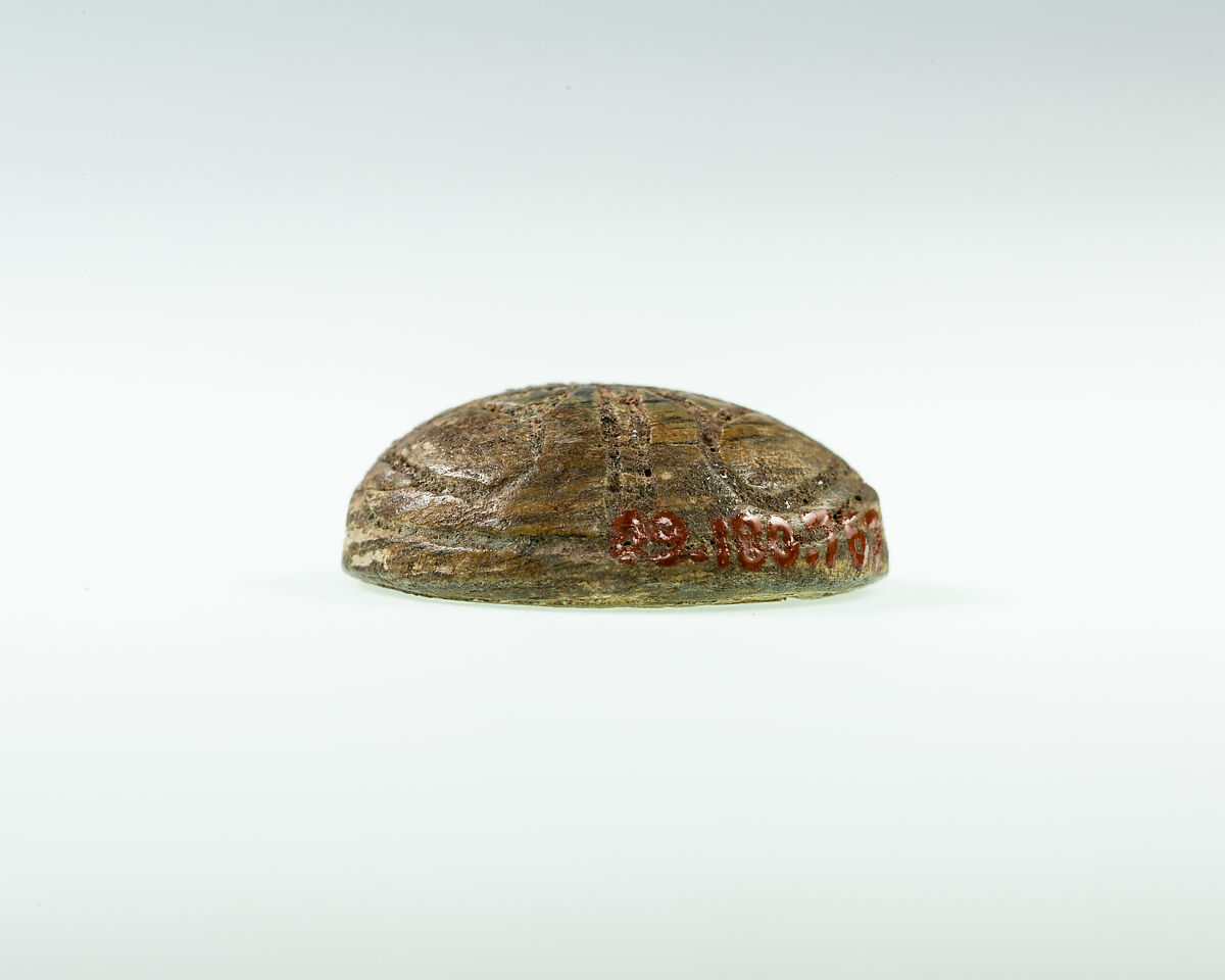 Button Seal, Glazed steatite