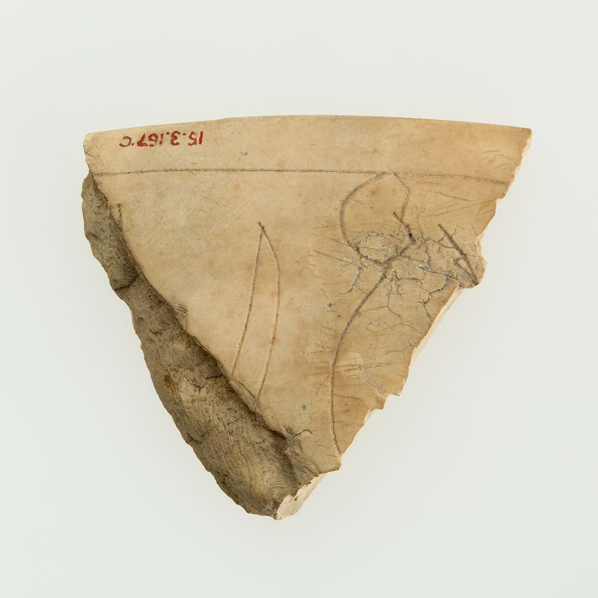 Magic knife fragments, Ivory