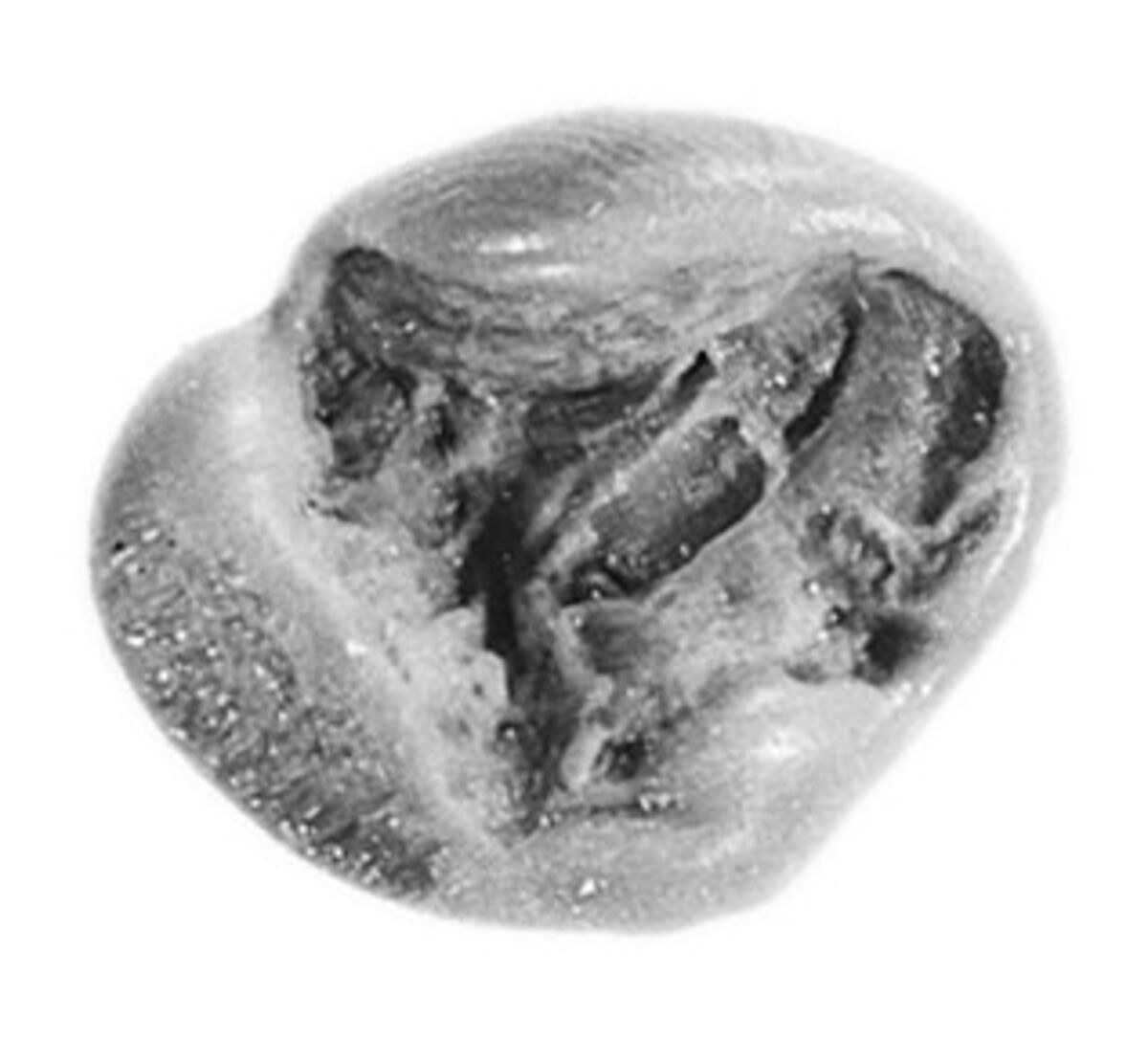 Sealing, Mud