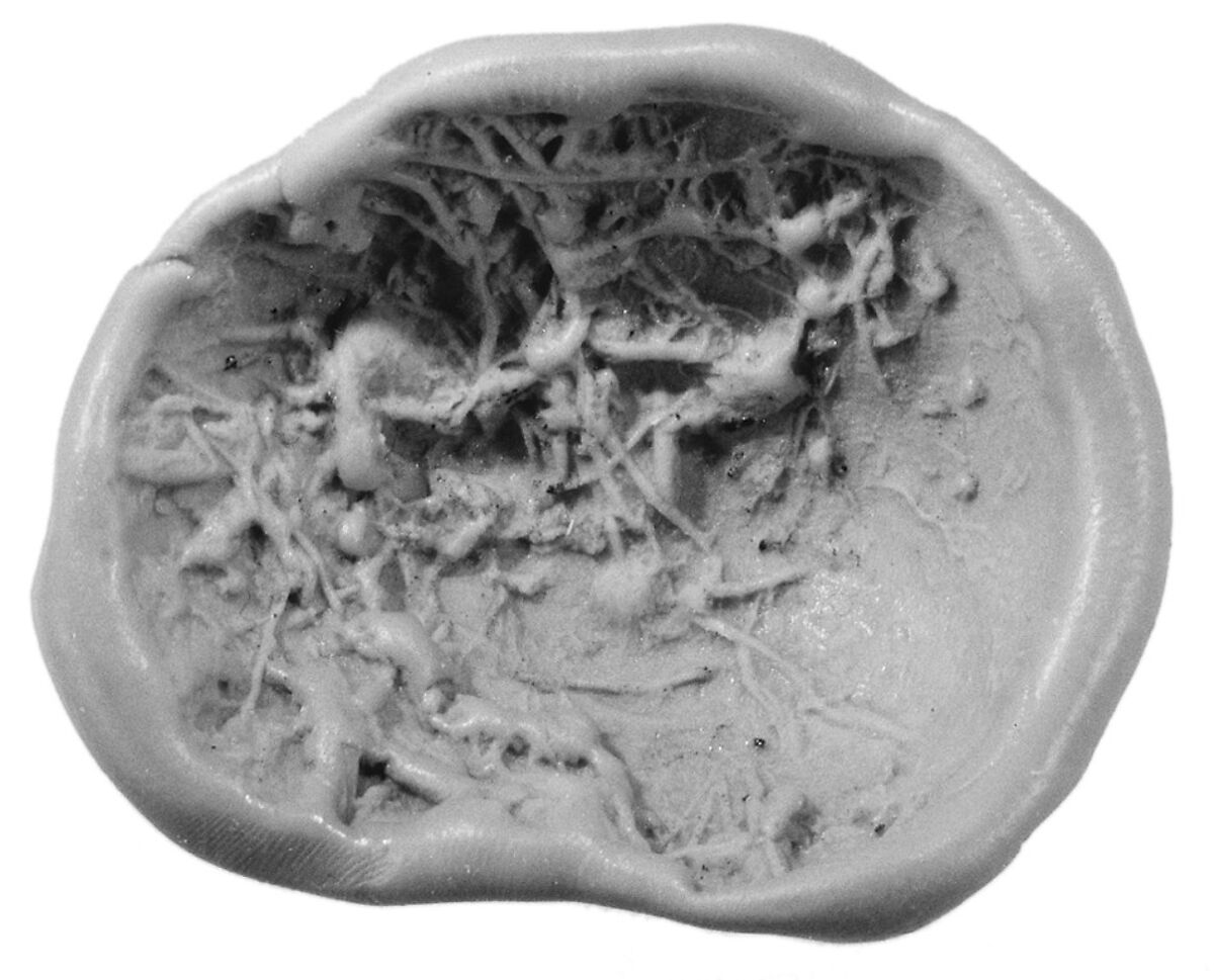Sealing, Clay