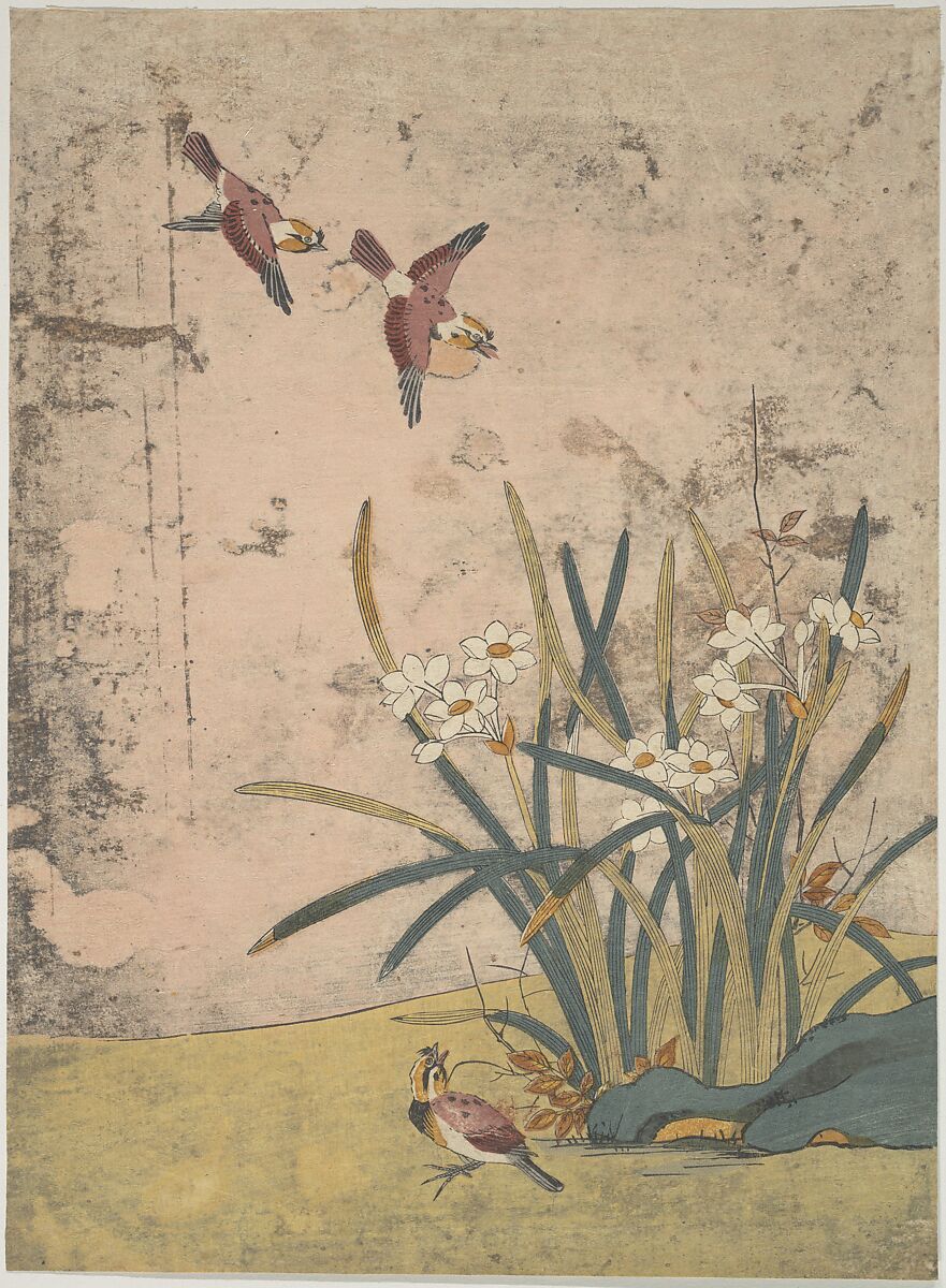 Birds and Narcissus, Suzuki Harunobu (Japanese, 1725–1770), Woodblock print; ink and color on paper, Japan 
