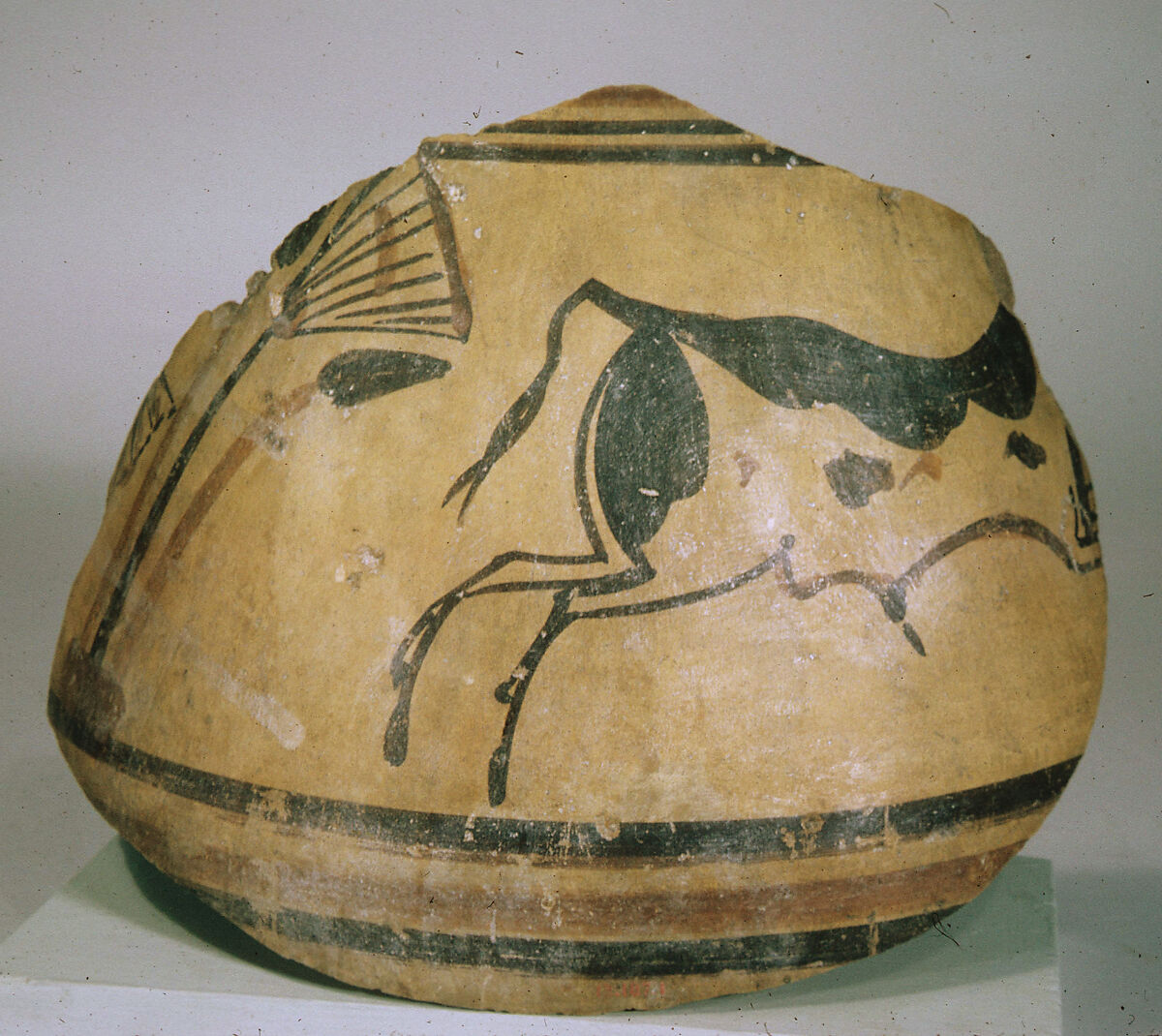 Bowl with a bull, Pottery, black and red paint 