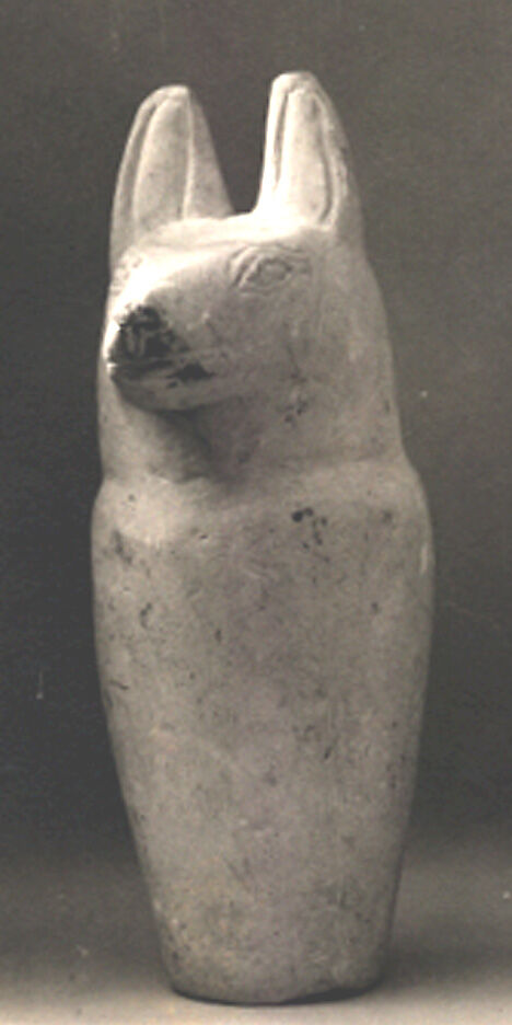 Dummy canopic jar with jackal head, Limestone