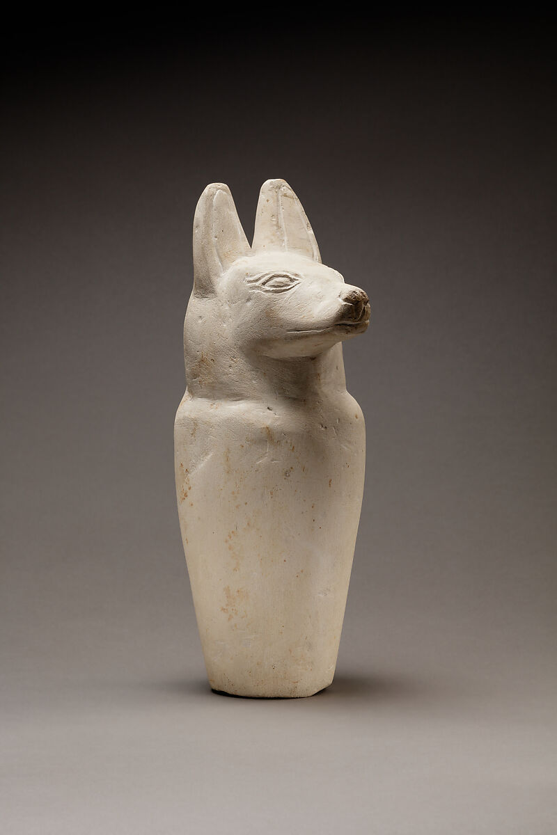 Dummy canopic jar with jackal head, Limestone
