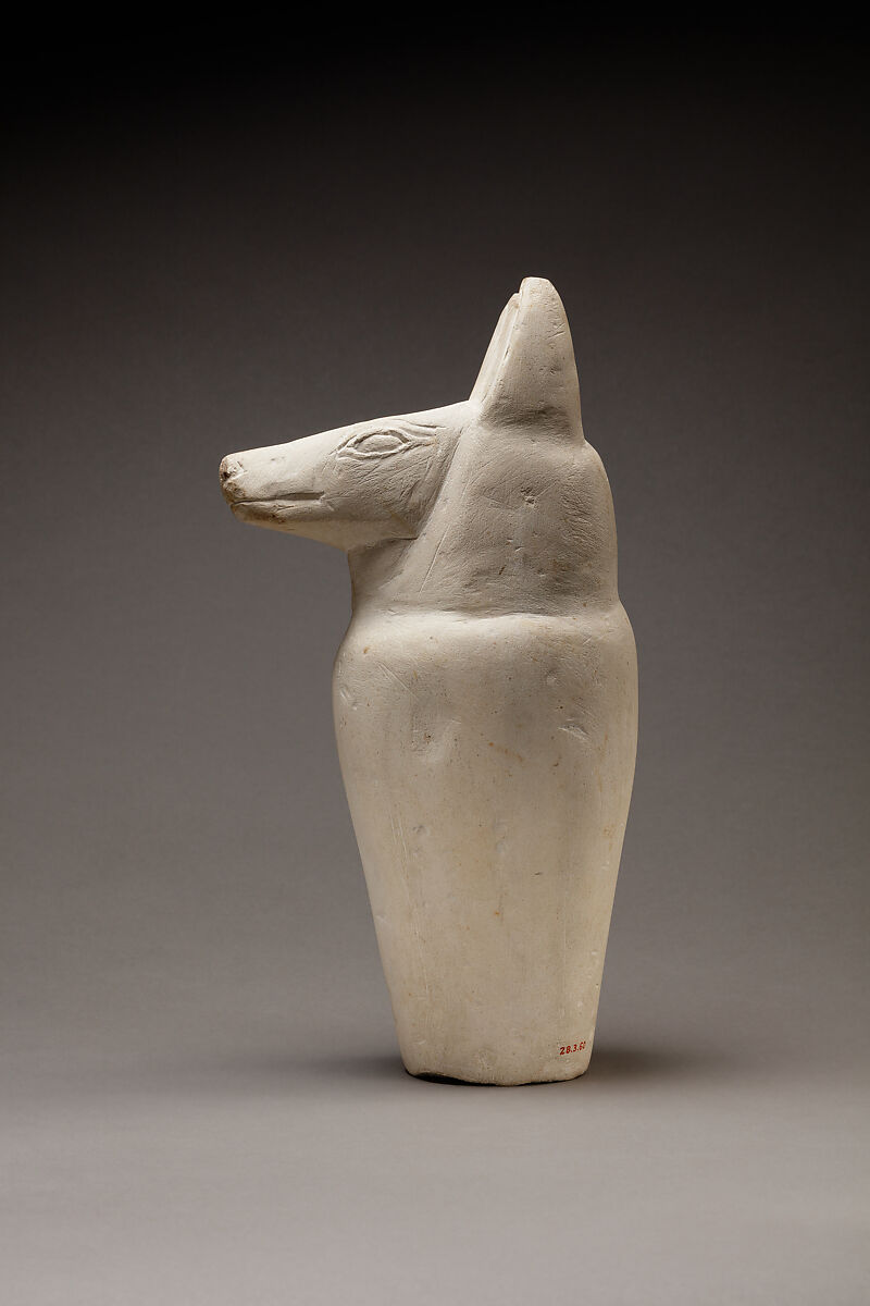 Dummy canopic jar with jackal head, Limestone