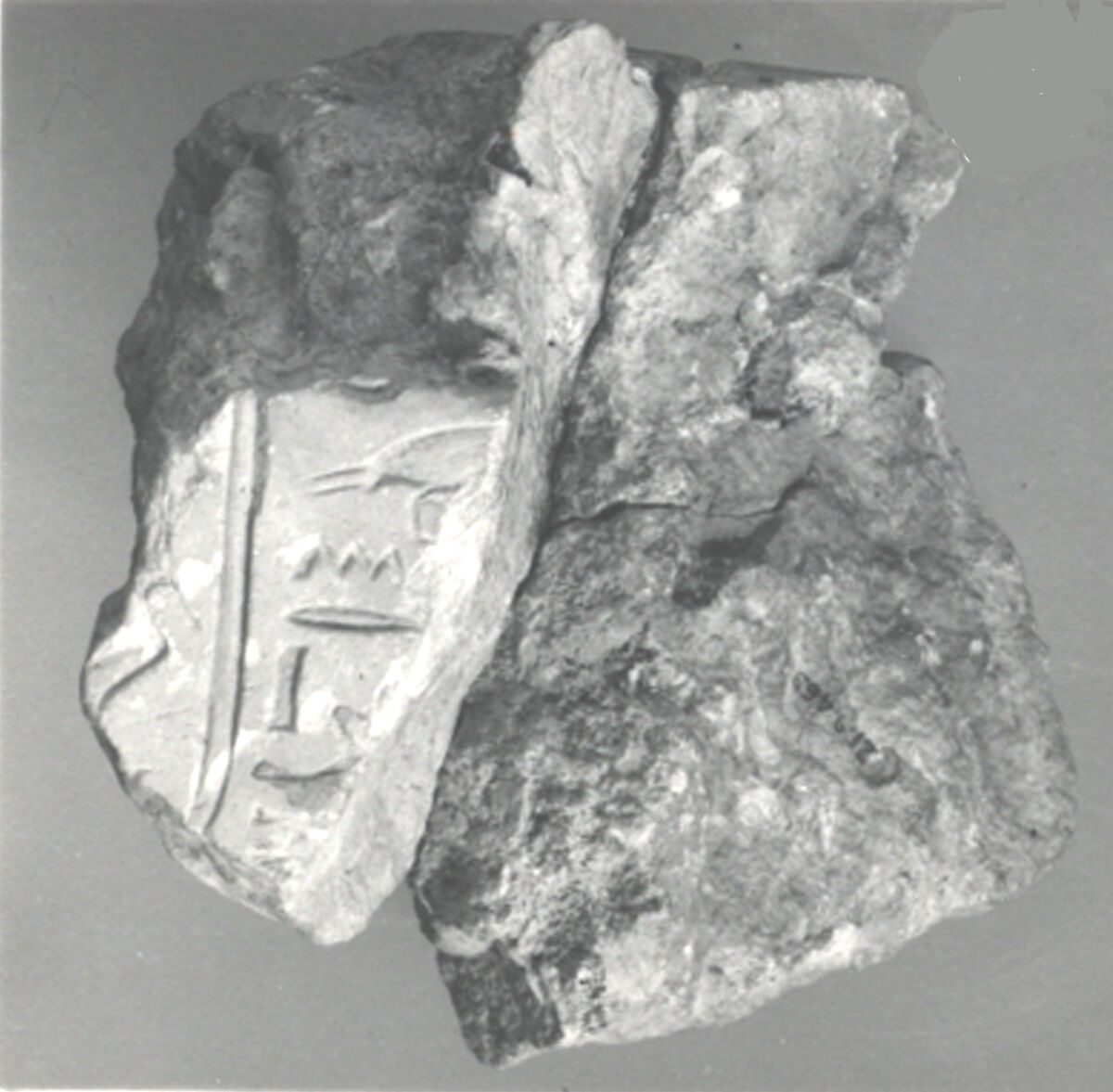 Balustrade fragment, Indurated limestone 