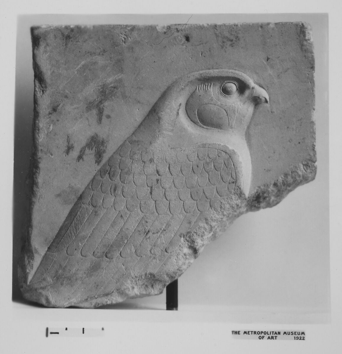 Fragmentary relief plaque with falcon, Limestone 