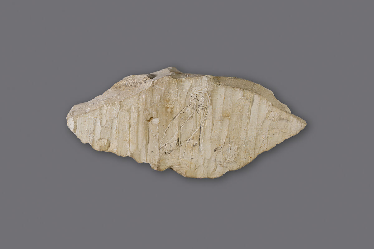 Ostracon with sketch of a grazing antelope, Limestone, ink