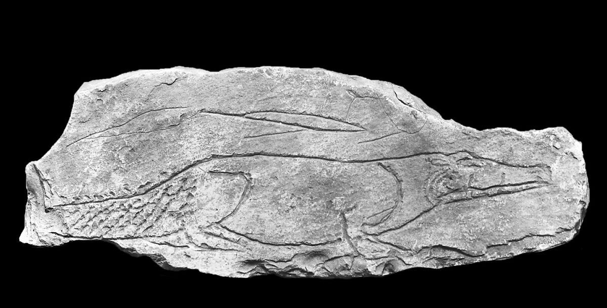 Ostracon with sketch of a crocodile, Limestone, ink