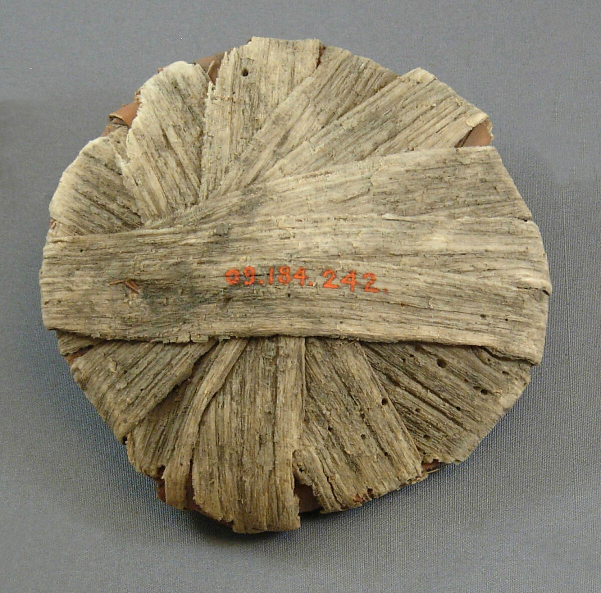 Papyrus Lid from the Embalming Cache of Tutankhamun, Papyrus fiber 