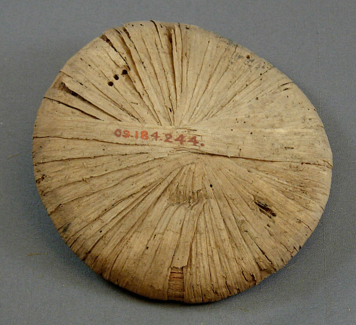 Papyrus Lids from the Embalming Cache of Tutankhamun, Papyrus fiber 