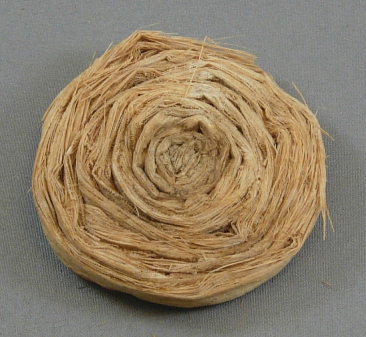 Papyrus Lid from Tutankhamun's Embalming Cache, Papyrus fiber