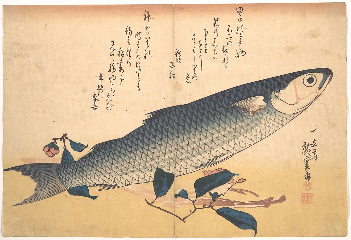 Bora Fish with Camellia, from the series Uozukushi (Every Variety of Fish), Utagawa Hiroshige (Japanese, Tokyo (Edo) 1797–1858 Tokyo (Edo)), Woodblock print; ink and color on paper, Japan 