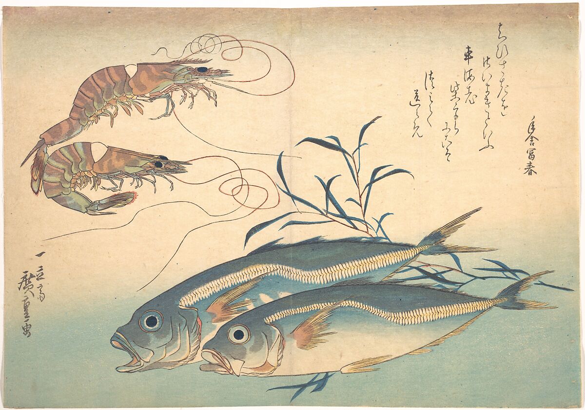 Aji Fish and Kuruma-ebi, from the series Uozukushi (Every Variety of Fish), Utagawa Hiroshige (Japanese, Tokyo (Edo) 1797–1858 Tokyo (Edo)), Woodblock print; ink and color on paper, Japan 