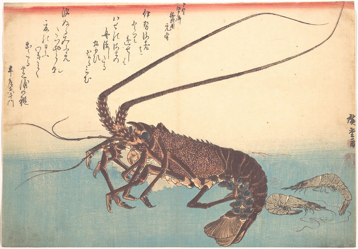 Ise-ebi and Shiba-ebi, from the series Uozukushi (Every Variety of Fish), Utagawa Hiroshige (Japanese, Tokyo (Edo) 1797–1858 Tokyo (Edo)), Woodblock print; ink and color on paper, Japan 