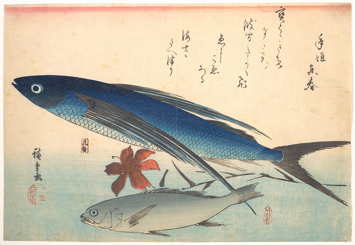 Tobiuo and Ishimochi Fish, from the series Uozukushi (Every Variety of Fish), Utagawa Hiroshige (Japanese, Tokyo (Edo) 1797–1858 Tokyo (Edo)), Woodblock print; ink and color on paper, Japan 