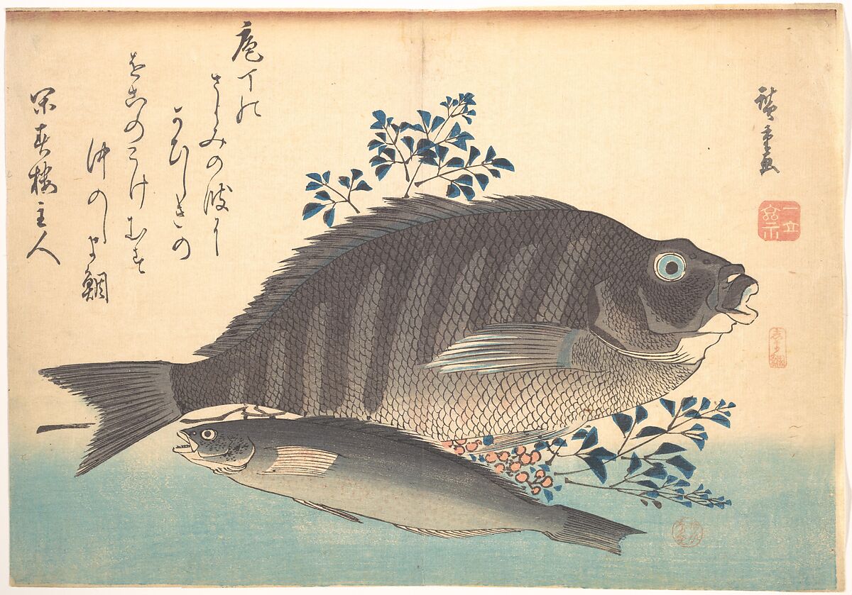 Shimadai and Ainame Fish, from the series Uozukushi (Every Variety of Fish), Utagawa Hiroshige (Japanese, Tokyo (Edo) 1797–1858 Tokyo (Edo)), Woodblock print; ink and color on paper, Japan 