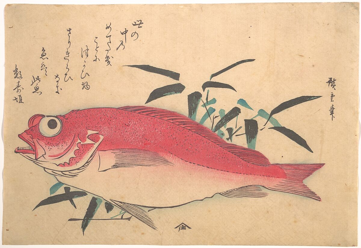 Medetai Fush and Sasaki Bamboo, from the series Uozukushi (Every Variety of Fish), Utagawa Hiroshige (Japanese, Tokyo (Edo) 1797–1858 Tokyo (Edo)), Woodblock print; ink and color on paper, Japan 