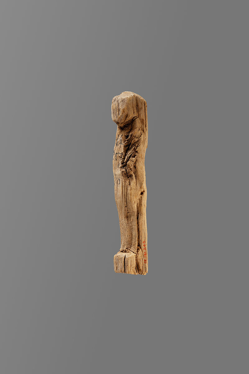 Shabti of Tetinefer, Wood