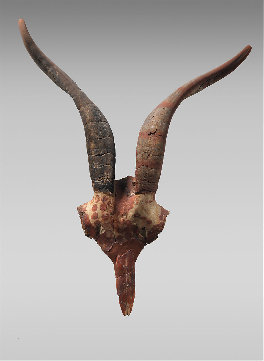 Bucranium, Antler, bone, paint