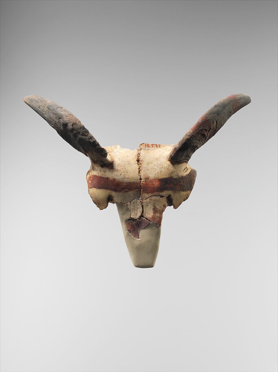 Bucranium, Antler, bone, paint 