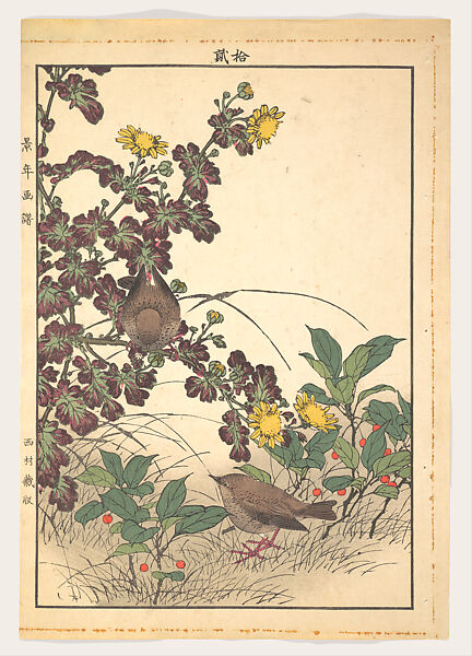 Two Birds and Crysanthemums, from Keinen kachō gafu (Keinen’s Flower-and-Bird Painting Manual), Imao Keinen 今尾景年 (Japanese, 1845–1924), Woodblock print; ink and color on paper, Japan 